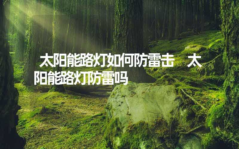 太阳能路灯如何防雷击 太阳能路灯防雷吗